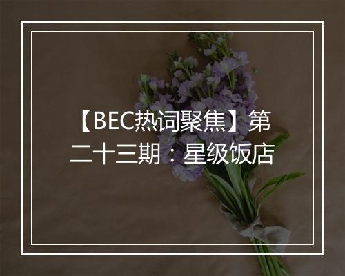 【BEC热词聚焦】第二十三期：星级饭店