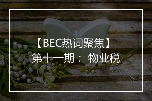 【BEC热词聚焦】第十一期： 物业税