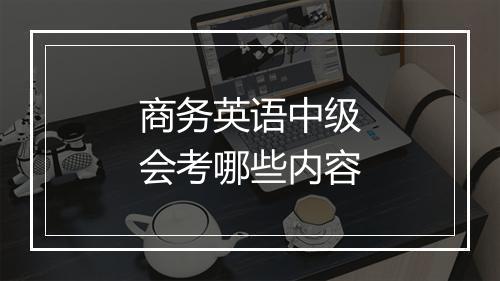 商务英语中级会考哪些内容