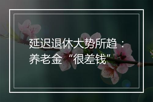 延迟退休大势所趋：养老金“很差钱”