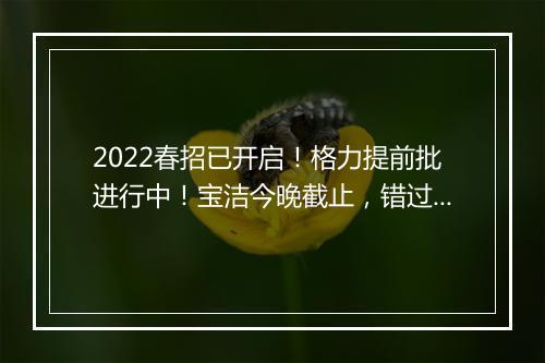 2022春招已开启！格力提前批进行中！宝洁今晚截止，错过等一年！