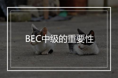 BEC中级的重要性