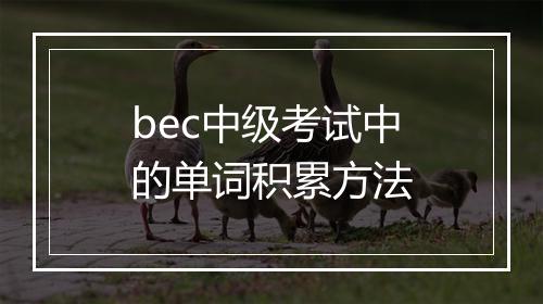 bec中级考试中的单词积累方法