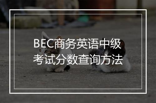 BEC商务英语中级考试分数查询方法