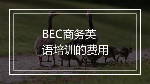 BEC商务英语培训的费用