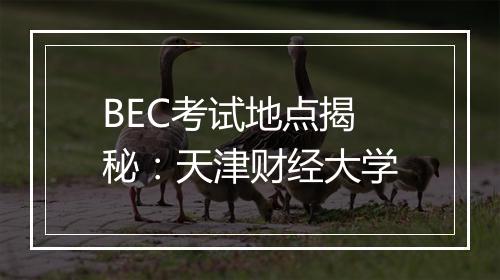 BEC考试地点揭秘：天津财经大学