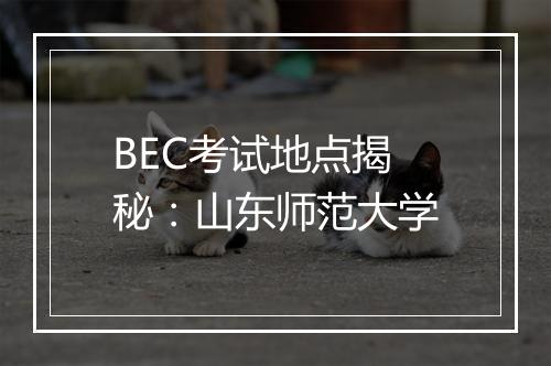 BEC考试地点揭秘：山东师范大学