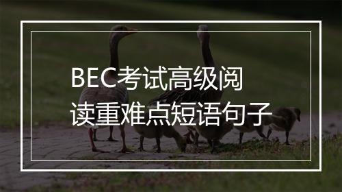 BEC考试高级阅读重难点短语句子