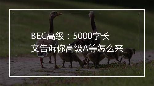 BEC高级：5000字长文告诉你高级A等怎么来