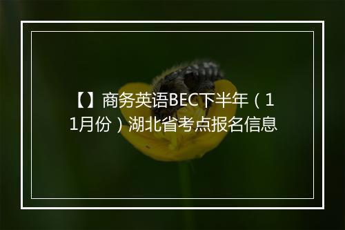 【】商务英语BEC下半年（11月份）湖北省考点报名信息