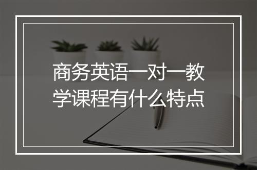 商务英语一对一教学课程有什么特点