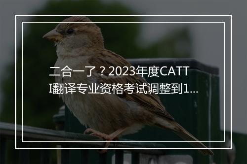 二合一了？2023年度CATTI翻译专业资格考试调整到11月！