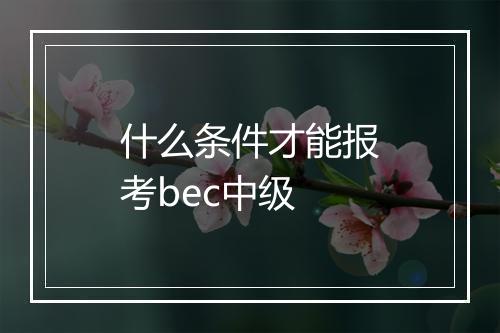 什么条件才能报考bec中级