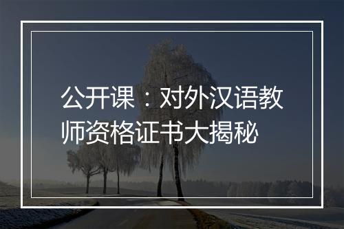 公开课：对外汉语教师资格证书大揭秘