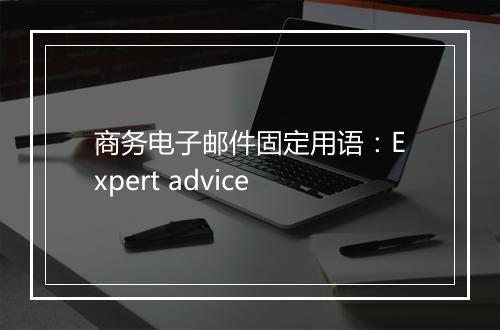 商务电子邮件固定用语：Expert advice