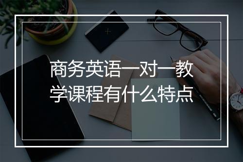 商务英语一对一教学课程有什么特点