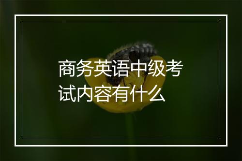 商务英语中级考试内容有什么