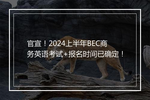 官宣！2024上半年BEC商务英语考试+报名时间已确定！