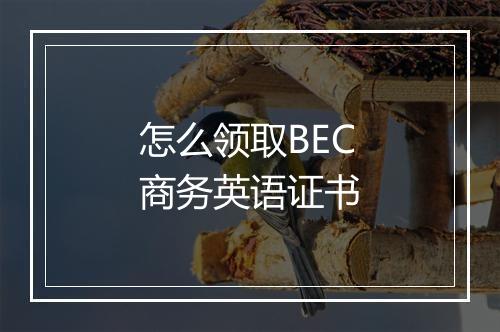 怎么领取BEC商务英语证书