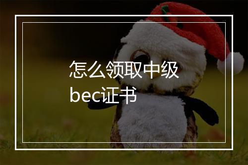 怎么领取中级bec证书