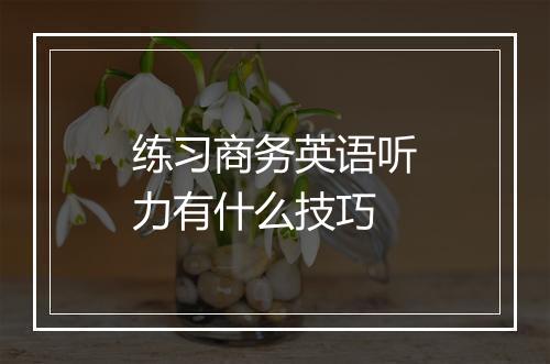 练习商务英语听力有什么技巧