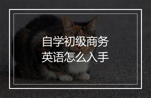 自学初级商务英语怎么入手