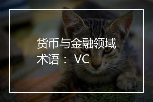 货币与金融领域术语： VC