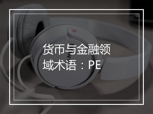 货币与金融领域术语：PE