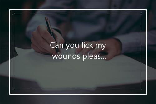 Can you lick my wounds please-歌词