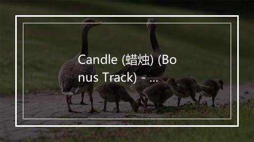 Candle (蜡烛) (Bonus Track) - Mystery Jets (神秘喷射机)-歌词