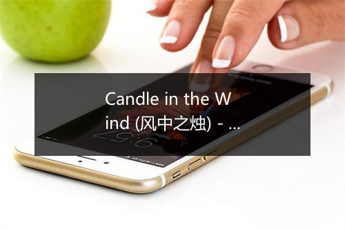 Candle in the Wind (风中之烛) - Pat Benesta-歌词