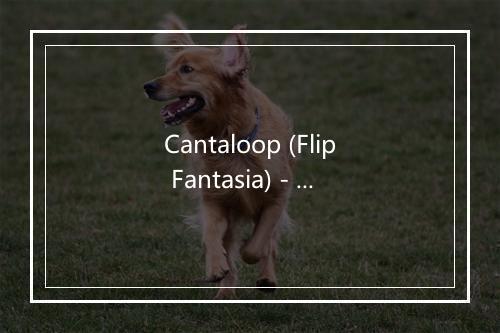 Cantaloop (Flip Fantasia) - D