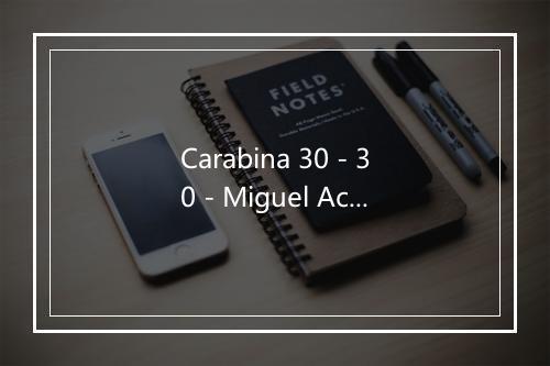 Carabina 30 - 30 - Miguel Aceves Mejia-歌词_1