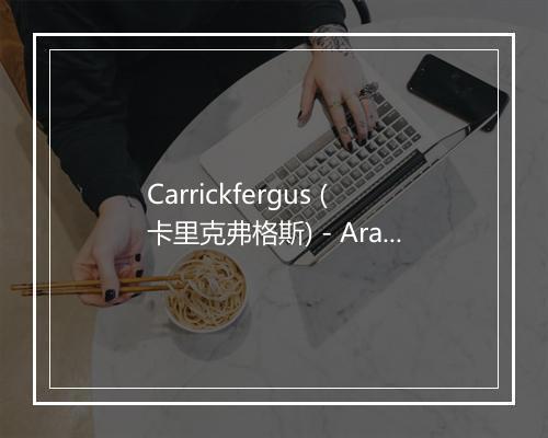 Carrickfergus (卡里克弗格斯) - Aran Folk-歌词