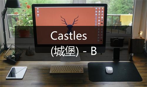 Castles (城堡) - B