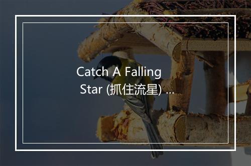 Catch A Falling Star (抓住流星) - The Four Lads-歌词