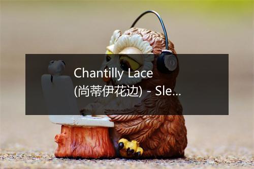 Chantilly Lace (尚蒂伊花边) - Sleepy LaBeef-歌词