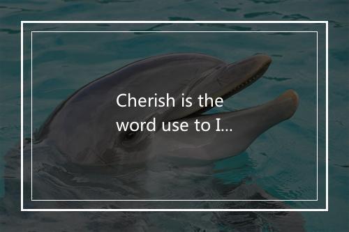 Cherish is the word use to I describe-歌词