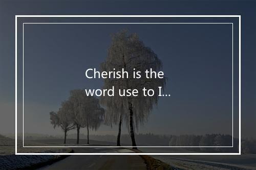 Cherish is the word use to I describe-歌词_2