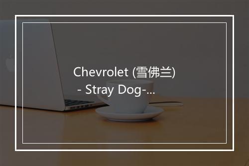 Chevrolet (雪佛兰) - Stray Dog-歌词