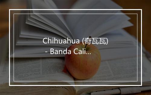 Chihuahua (奇瓦瓦) - Banda Caliente-歌词