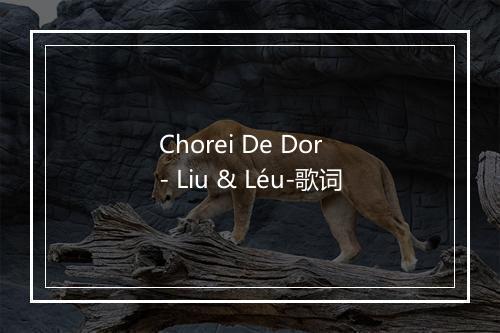 Chorei De Dor - Liu & Léu-歌词