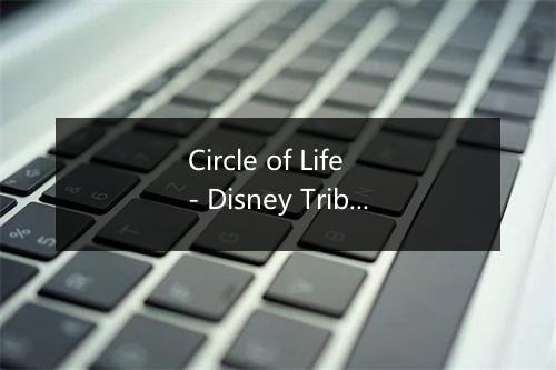 Circle of Life - Disney Tribute Band-歌词