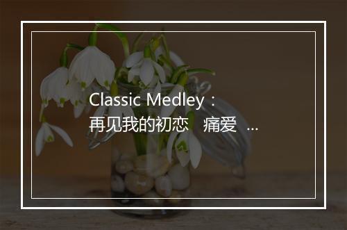 Classic Medley：再见我的初恋   痛爱   逃避你   谁来爱我   损友   抱抱   想得太远   习惯失恋   一拍两散   心淡 (Liv