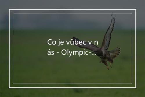 Co je vůbec v nás - Olympic-歌词_2