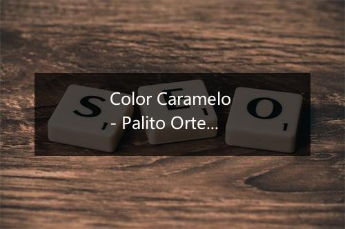 Color Caramelo - Palito Ortega-歌词_1