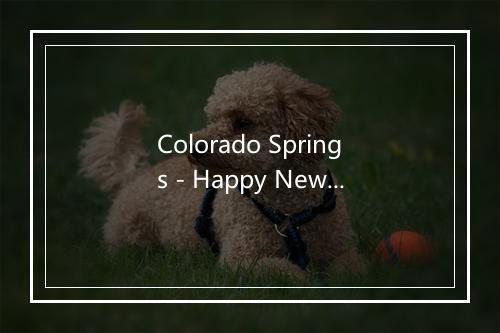 Colorado Springs - Happy New Year - Special Occasions Library-歌词