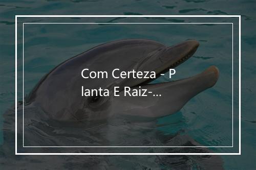 Com Certeza - Planta E Raiz-歌词