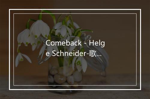 Comeback - Helge Schneider-歌词