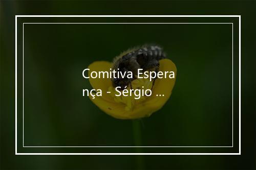 Comitiva Esperança - Sérgio Reis-歌词_1